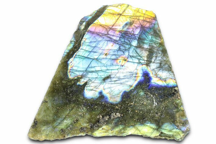 Single Side Polished Labradorite Section - Madagascar #364314